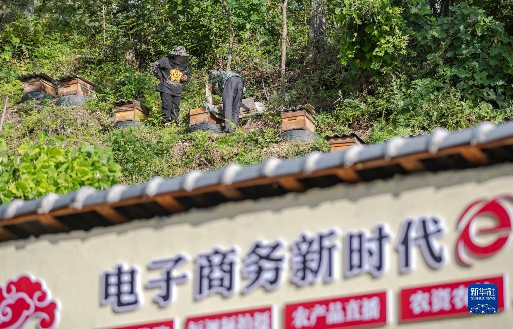 百盛娱乐国际会员登录
